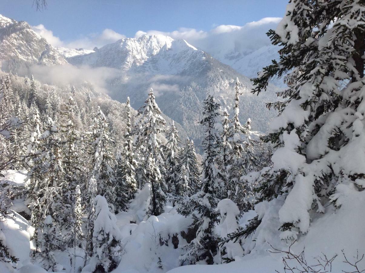 Residence Les Jorasses Servoz Dış mekan fotoğraf